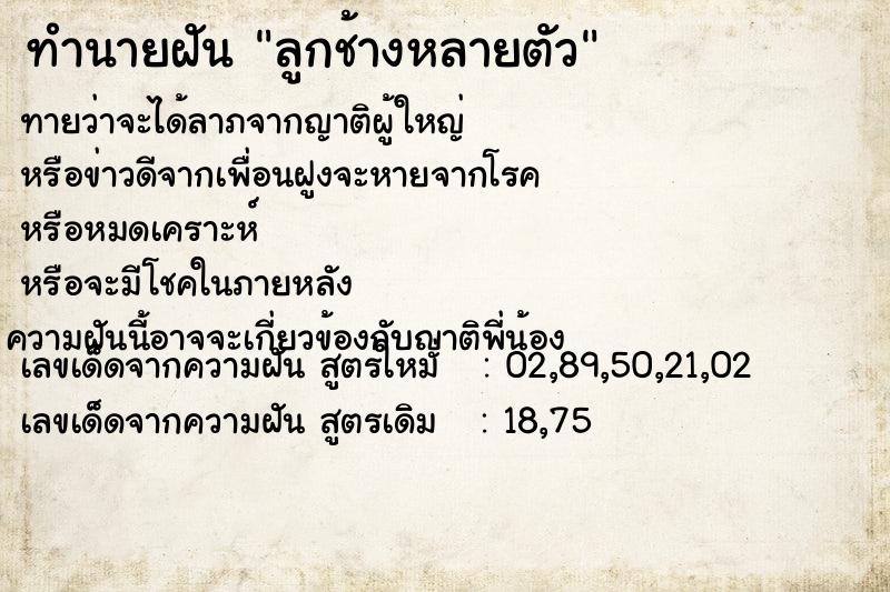 ทำนายฝันทำนายฝันลูกช้างหลายตัว