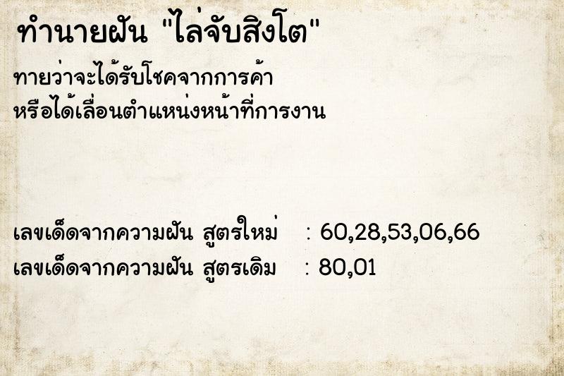 ทำนายฝันไล่จับสิงโต ทำนายฝันทำนายฝันไล่จับสิงโต