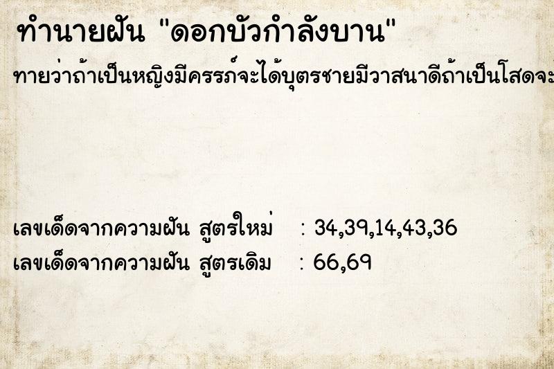 ทำนายฝันทำนายฝันดอกบัวกำลังบาน