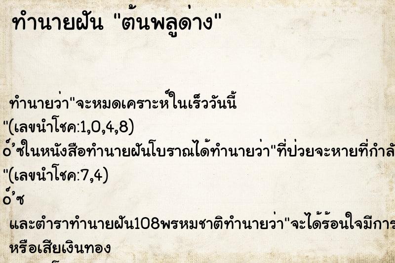 ทำนายฝัน ต้นพลูด่าง ทำนายฝัน ต้นพลูด่าง
