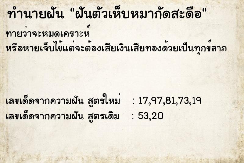 ทำนายฝันฝันตัวเห็บหมากัดสะดือ ทำนายฝันทำนายฝันฝันตัวเห็บหมากัดสะดือ