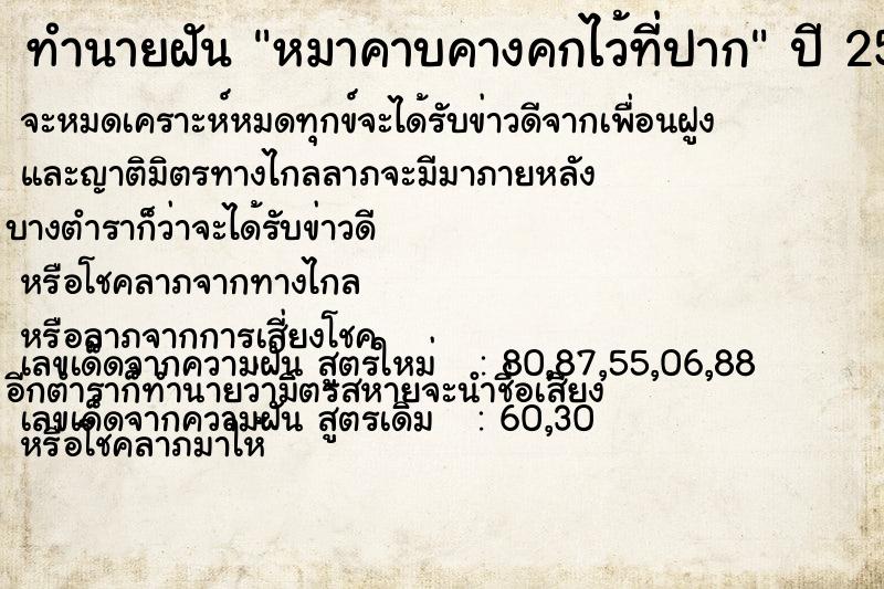 ทำนายฝันหมาคาบคางคกไว้ที่ปาก ทำนายฝันทำนายฝันหมาคาบคางคกไว้ที่ปาก