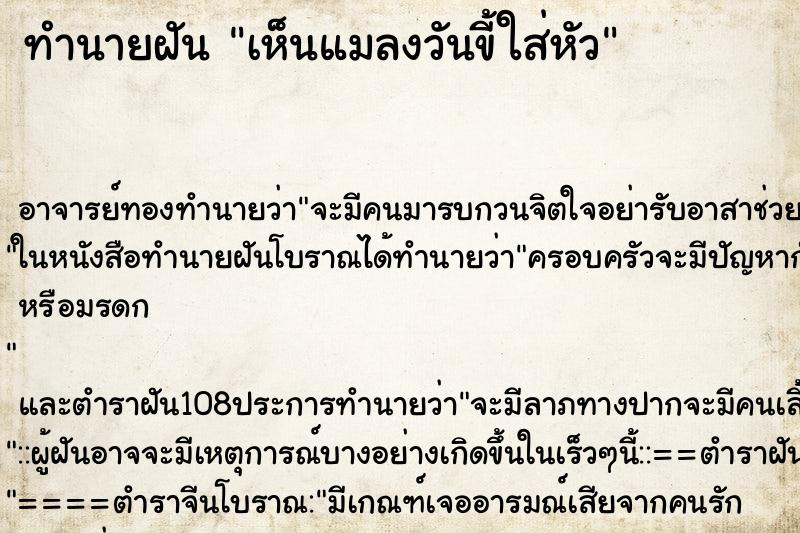 ทำนายฝันทำนายฝันเห็นแมลงวันขี้ใส่หัว