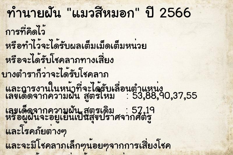 ทำนายฝันทำนายฝันแมวสีหมอก