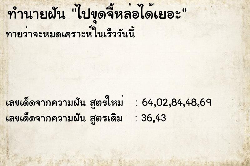 ทำนายฝันทำนายฝันไปขุดจี้หล่อได้เยอะ