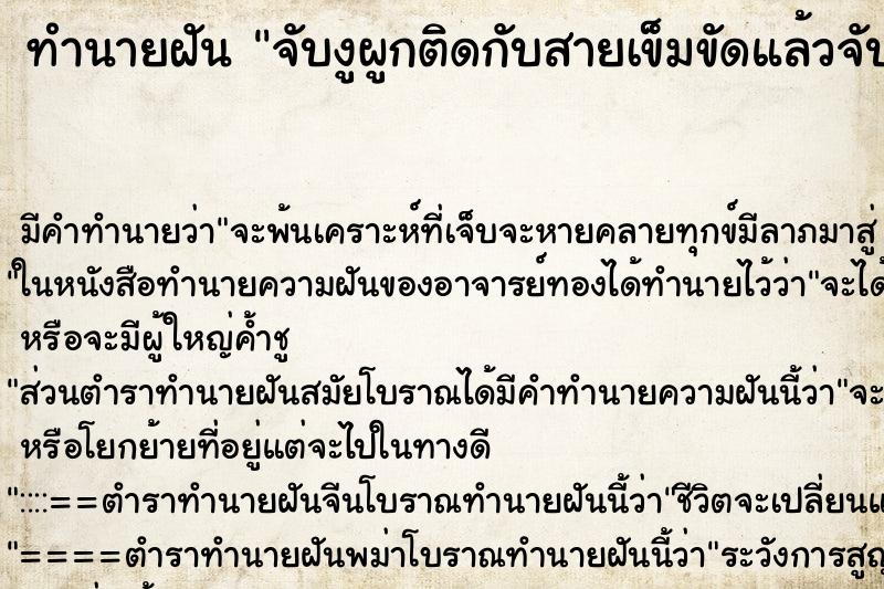 ทำนายฝันจับงูผูกติดกับสายเข็มขัดแล้วจับเวี่ยงไปมา ทำนายฝันทำนายฝันจับงูผูกติดกับสายเข็มขัดแล้วจับเวี่ยงไปมา
