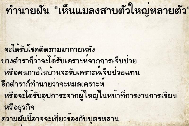 ทำนายฝันทำนายฝันเห็นแมลงสาบตัวใหญ่หลายตัว