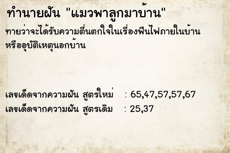 ทำนายฝันทำนายฝันแมวพาลูกมาบ้าน