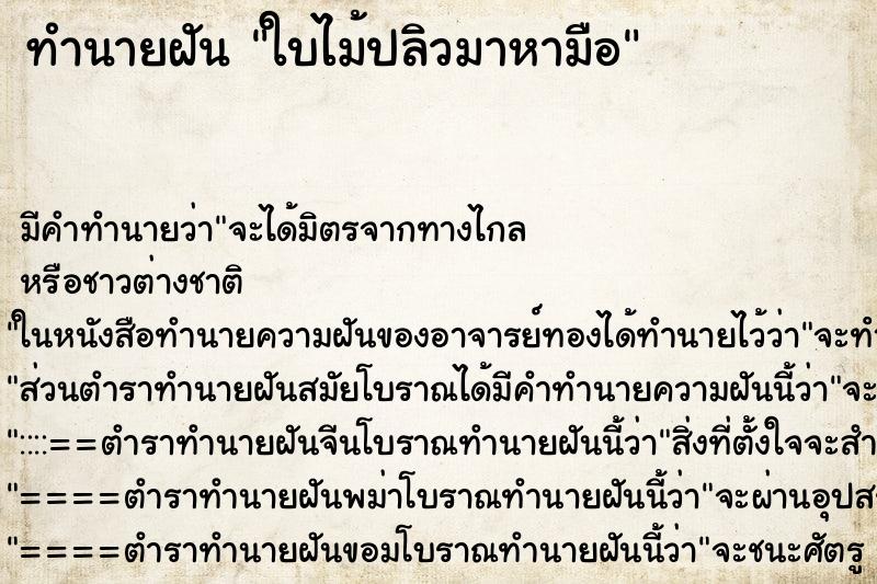 ทำนายฝัน ใบไม้ปลิวมาหามือ ทำนายฝัน ใบไม้ปลิวมาหามือ