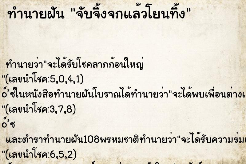 ทำนายฝัน จับจิ้งจกแล้วโยนทิ้ง ทำนายฝัน จับจิ้งจกแล้วโยนทิ้ง