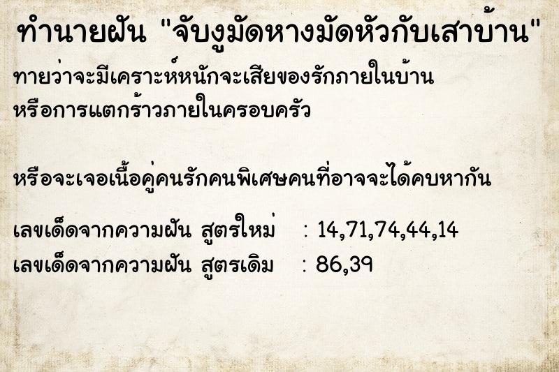 ทำนายฝัน จับงูมัดหางมัดหัวกับเสาบ้าน ทำนายฝัน จับงูมัดหางมัดหัวกับเสาบ้าน