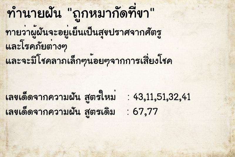 ทำนายฝันถูกหมากัดที่ขา ทำนายฝันทำนายฝันถูกหมากัดที่ขา