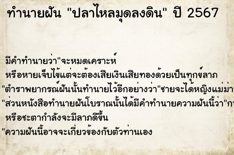 ทำนายฝันปลาไหลมุดลงดิน ทำนายฝันทำนายฝันปลาไหลมุดลงดิน