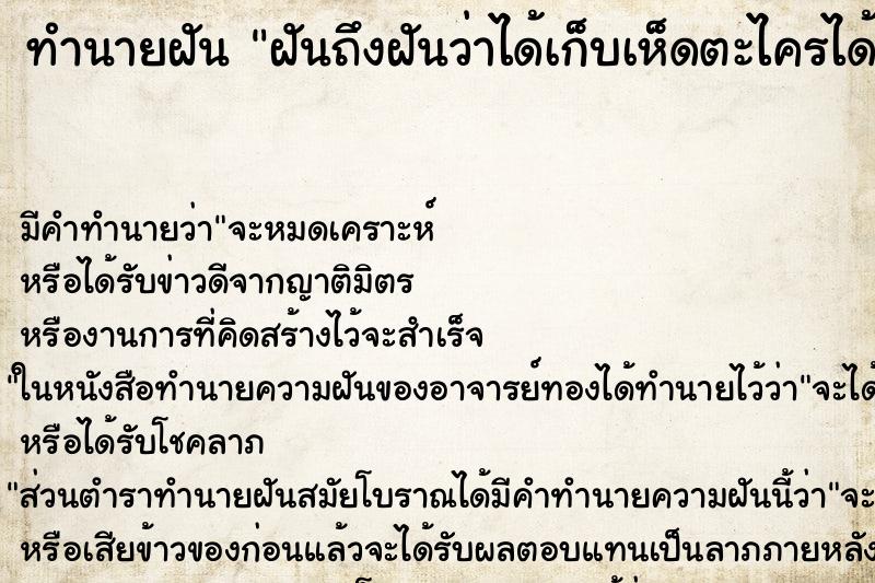 ทำนายฝันฝันถึงฝันว่าได้เก็บเห็ดตะไครได้เยอะมาก ทำนายฝันทำนายฝันฝันถึงฝันว่าได้เก็บเห็ดตะไครได้เยอะมาก