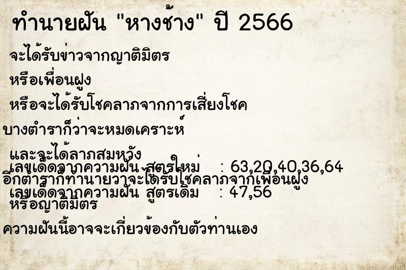 ทำนายฝัน หางช้าง ทำนายฝัน หางช้าง