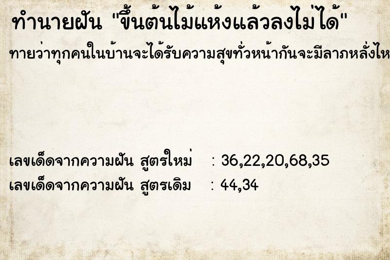 ทำนายฝันขึ้นต้นไม้แห้งแล้วลงไม่ได้ ทำนายฝันทำนายฝันขึ้นต้นไม้แห้งแล้วลงไม่ได้
