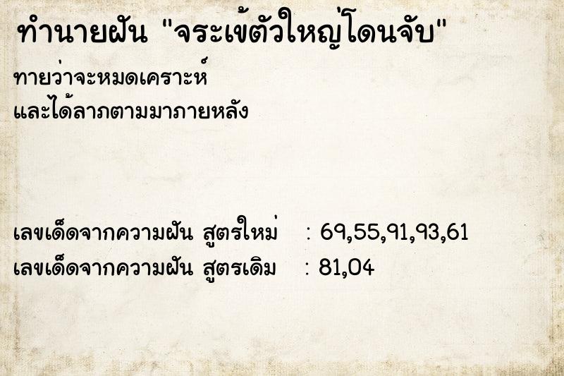 ทำนายฝันทำนายฝันจระเข้ตัวใหญ่โดนจับ