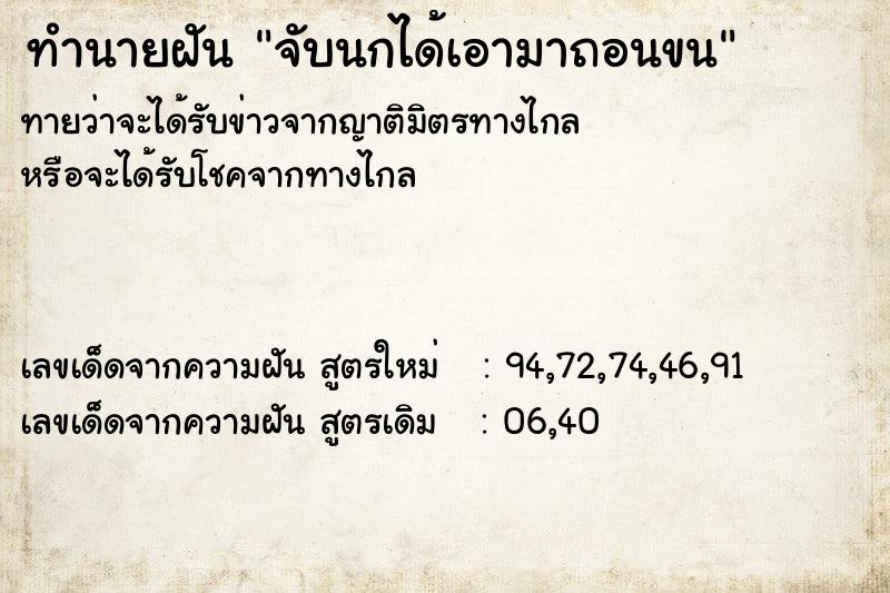 ทำนายฝันจับนกได้เอามาถอนขน ทำนายฝันทำนายฝันจับนกได้เอามาถอนขน
