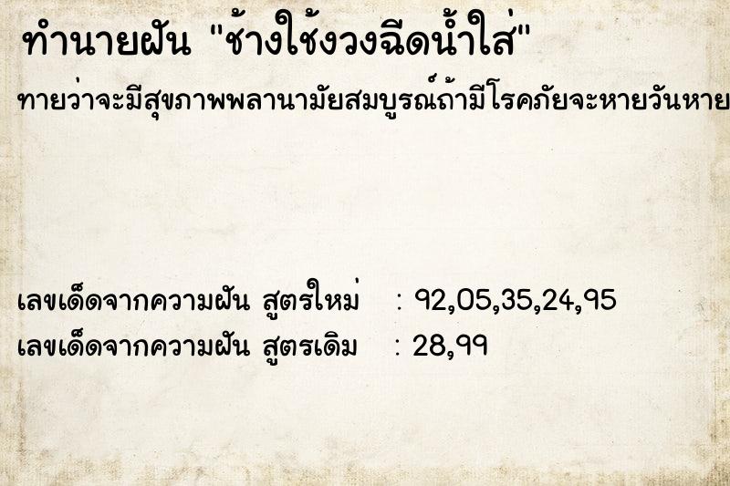 ทำนายฝัน ช้างใช้งวงฉีดน้ำใส่ ทำนายฝัน ช้างใช้งวงฉีดน้ำใส่
