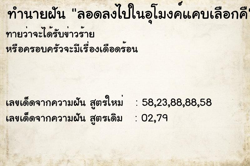 ทำนายฝันลอดลงไปในอุโมงค์แคบเลือกคื ทำนายฝันทำนายฝันลอดลงไปในอุโมงค์แคบเลือกคื