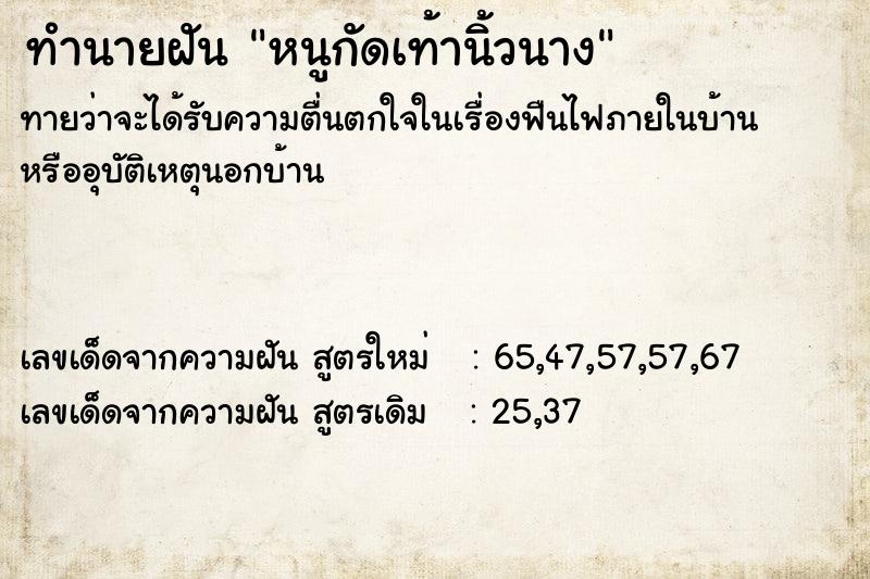 ทำนายฝันหนูกัดเท้านิ้วนาง ทำนายฝันทำนายฝันหนูกัดเท้านิ้วนาง