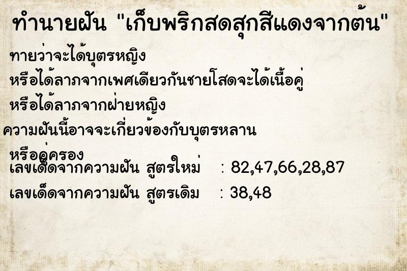 ทำนายฝันทำนายฝันe92ae7d0f58b78af207d126cf0a7a3c7เก็บพริกสดสุกสีแดงจากต้น