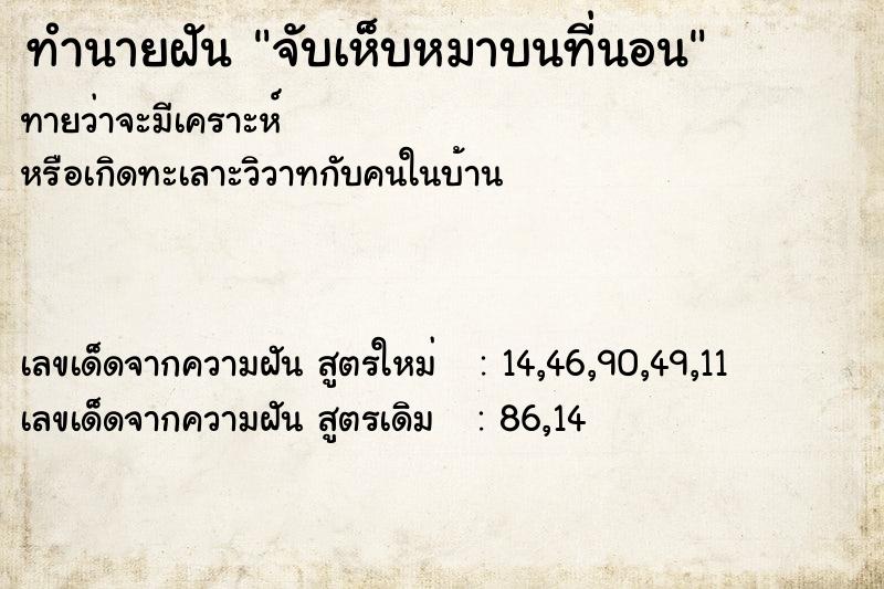 ทำนายฝันจับเห็บหมาบนที่นอน ทำนายฝันทำนายฝันจับเห็บหมาบนที่นอน