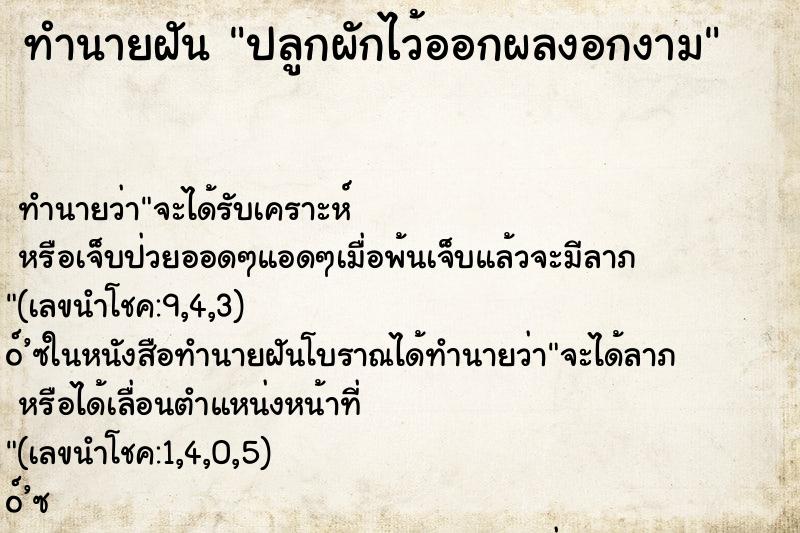 ทำนายฝัน ปลูกผักไว้ออกผลงอกงาม ทำนายฝัน ปลูกผักไว้ออกผลงอกงาม
