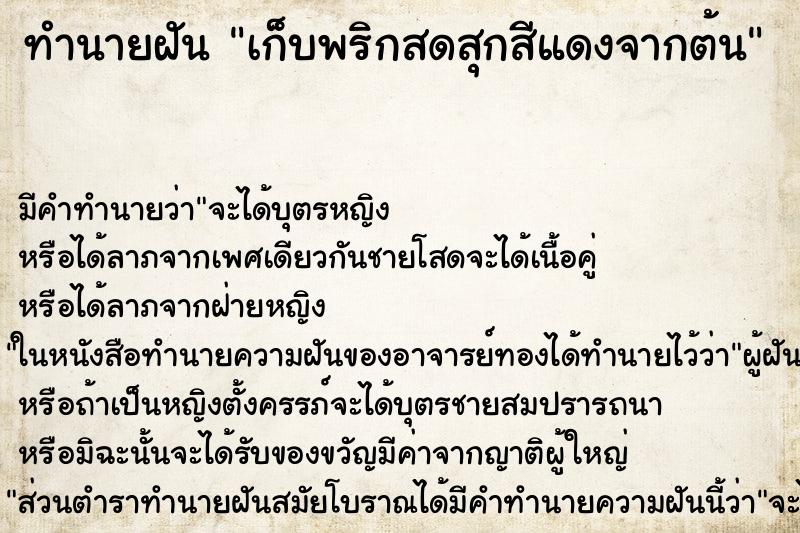ทำนายฝัน เก็บพริกสดสุกสีแดงจากต้น ทำนายฝัน เก็บพริกสดสุกสีแดงจากต้น