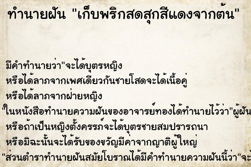 ทำนายฝัน เก็บพริกสดสุกสีแดงจากต้น ตำราโบราณ แม่นที่สุดในโลก