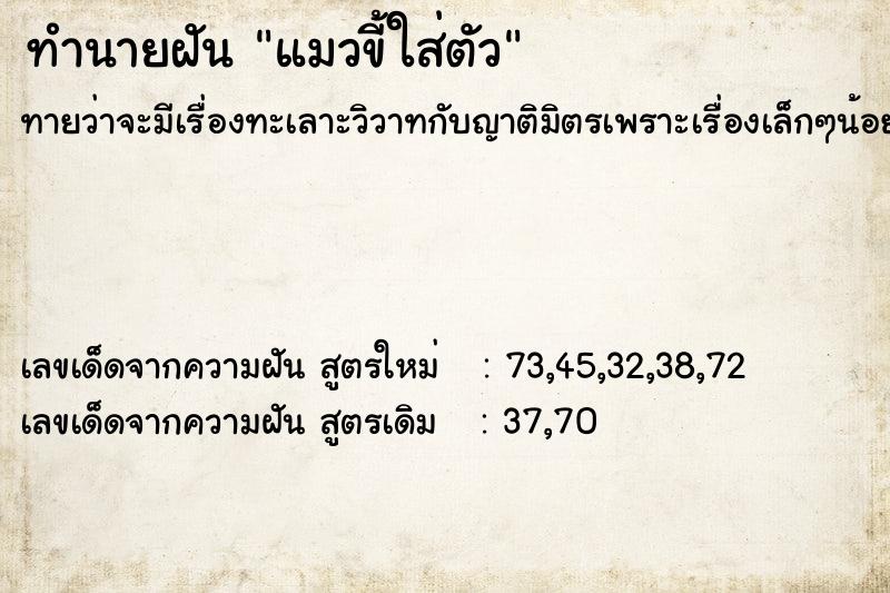 ทำนายฝันแมวขี้ใส่ตัว ทำนายฝันทำนายฝันแมวขี้ใส่ตัว