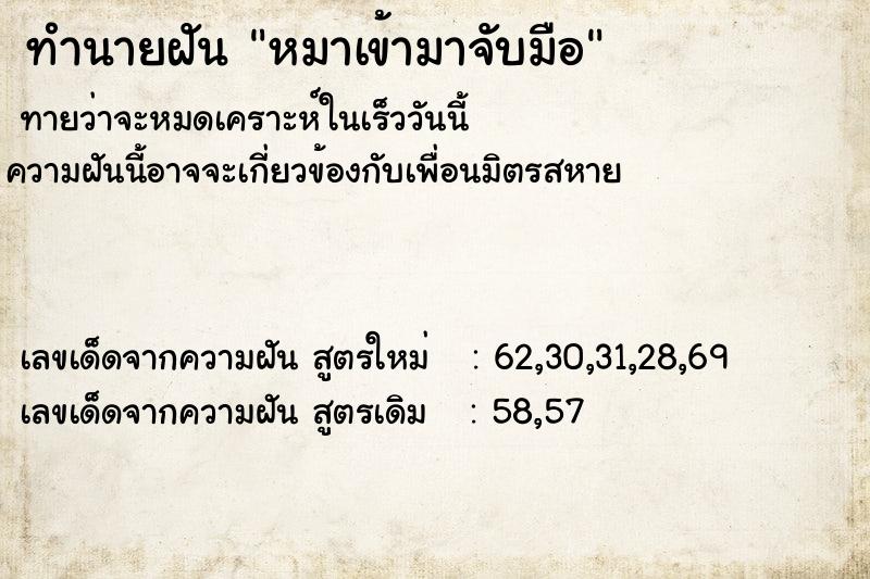 ทำนายฝันทำนายฝันหมาเข้ามาจับมือ