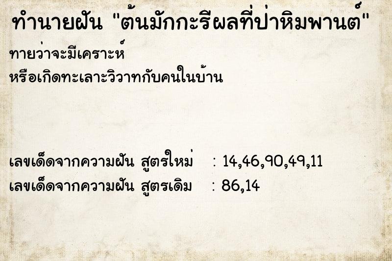 ทำนายฝันทำนายฝันต้นมักกะรีผลที่ป่าหิมพานต์