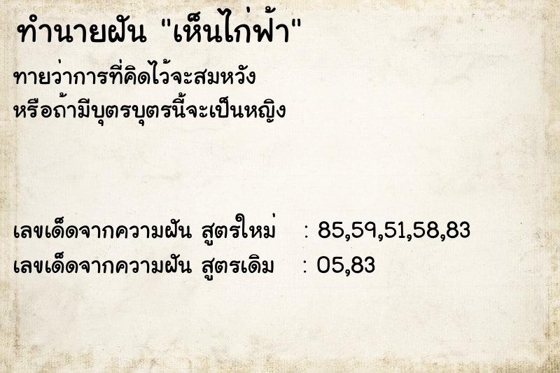 ทำนายฝัน เห็นไก่ฟ้า ทำนายฝัน เห็นไก่ฟ้า