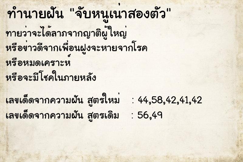 ทำนายฝัน จับหนูเน่าสองตัว ทำนายฝัน จับหนูเน่าสองตัว