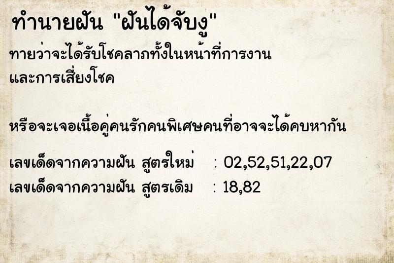 ทำนายฝันฝันได้จับงู ทำนายฝันทำนายฝันฝันได้จับงู