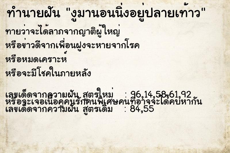 ทำนายฝัน งูมานอนนิ่งอยู่ปลายเท้าว