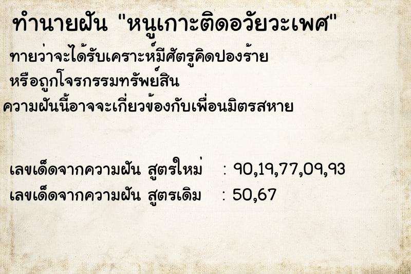 ทำนายฝันทำนายฝันหนูเกาะติดอวัยวะเพศ