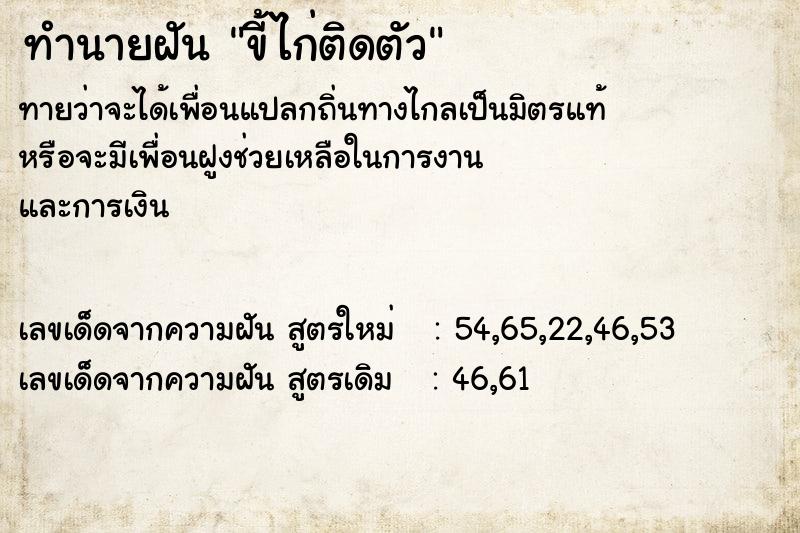 ทำนายฝันขี้ไก่ติดตัว ทำนายฝันทำนายฝันขี้ไก่ติดตัว