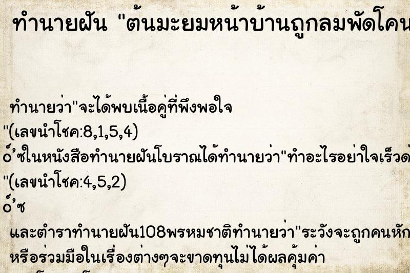 ทำนายฝัน ต้นมะยมหน้าบ้านถูกลมพัดโคน ทำนายฝัน ต้นมะยมหน้าบ้านถูกลมพัดโคน