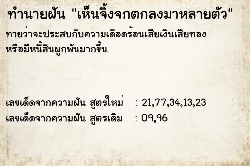 ทำนายฝันทำนายฝันเห็นจิ้งจกตกลงมาหลายตัว