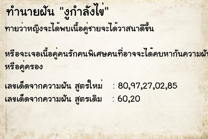 ทำนายฝันงูกำลังไข่ ทำนายฝันทำนายฝันงูกำลังไข่