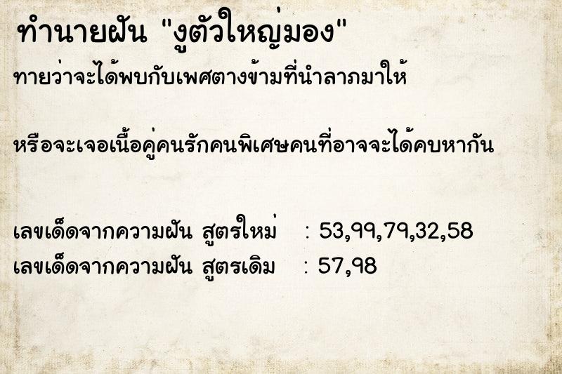 ทำนายฝัน งูตัวใหญ่มอง ทำนายฝัน งูตัวใหญ่มอง