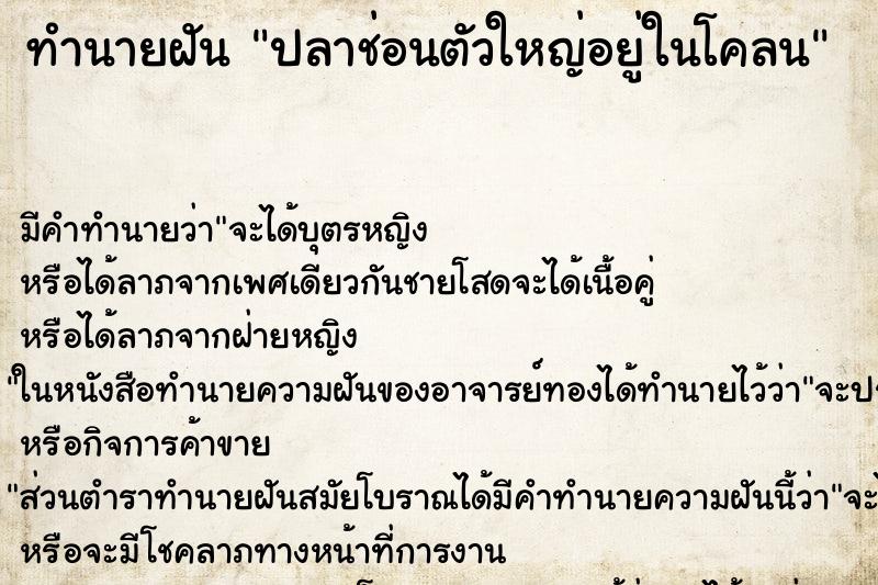 ทำนายฝันทำนายฝันปลาช่อนตัวใหญ่อยู่ในโคลน
