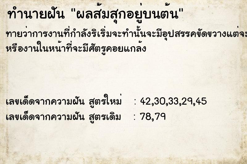 ทำนายฝันผลส้มสุกอยู่บนต้น ทำนายฝันทำนายฝันผลส้มสุกอยู่บนต้น