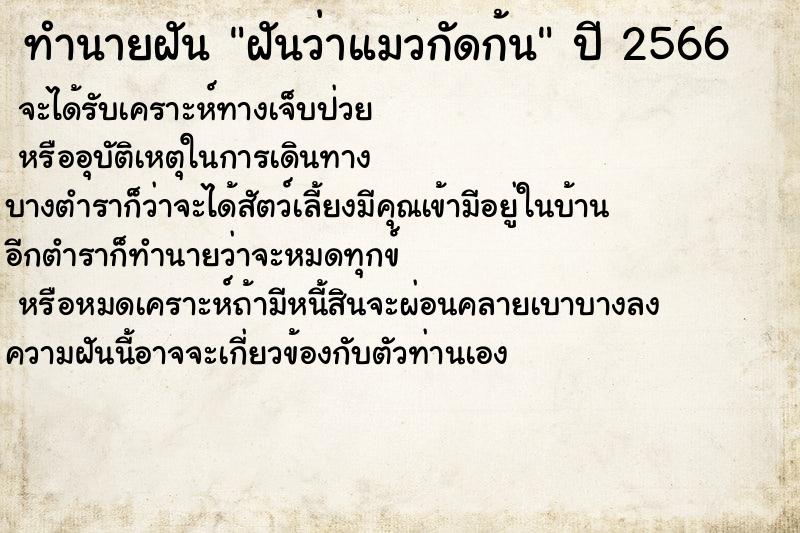 ทำนายฝันฝันว่าแมวกัดก้น ทำนายฝันทำนายฝันฝันว่าแมวกัดก้น