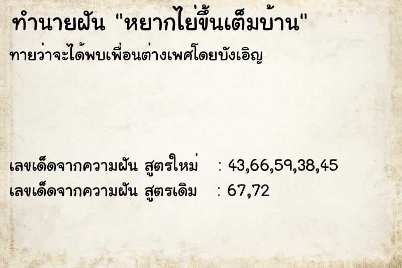 ทำนายฝันทำนายฝันหยากไย่ขึ้นเต็มบ้าน