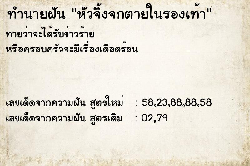 ทำนายฝันทำนายฝันหัวจิ้งจกตายในรองเท้า