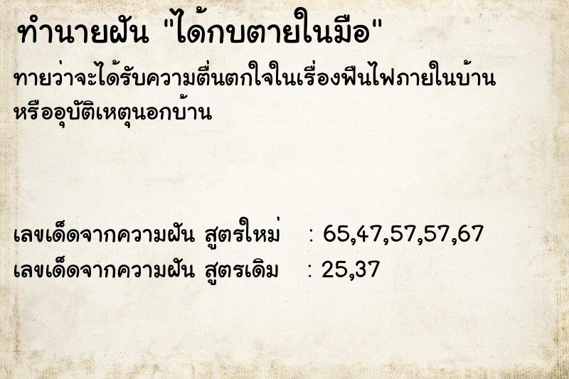 ทำนายฝันได้กบตายในมือ ทำนายฝันทำนายฝันได้กบตายในมือ