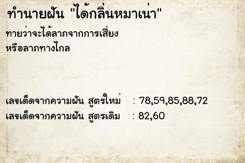 ทำนายฝัน ได้กลิ่นหมาเน่า ตำราโบราณ แม่นที่สุดในโลก